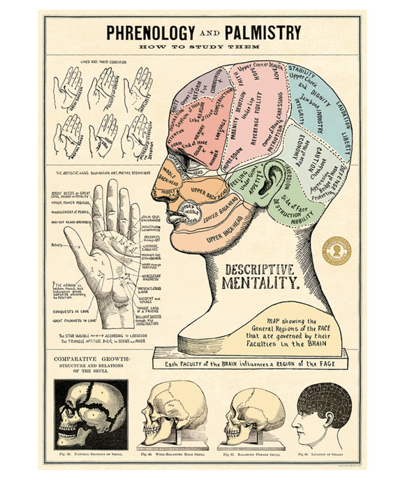 Phrenology & Palmistry Print