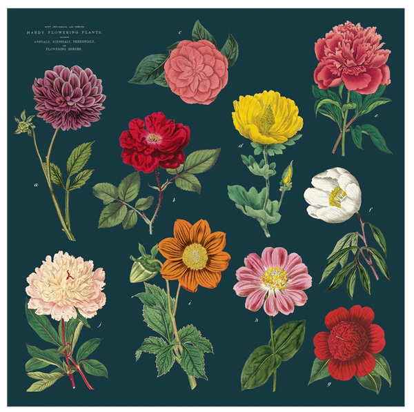 Botanica Vintage Napkins (set of 4)
