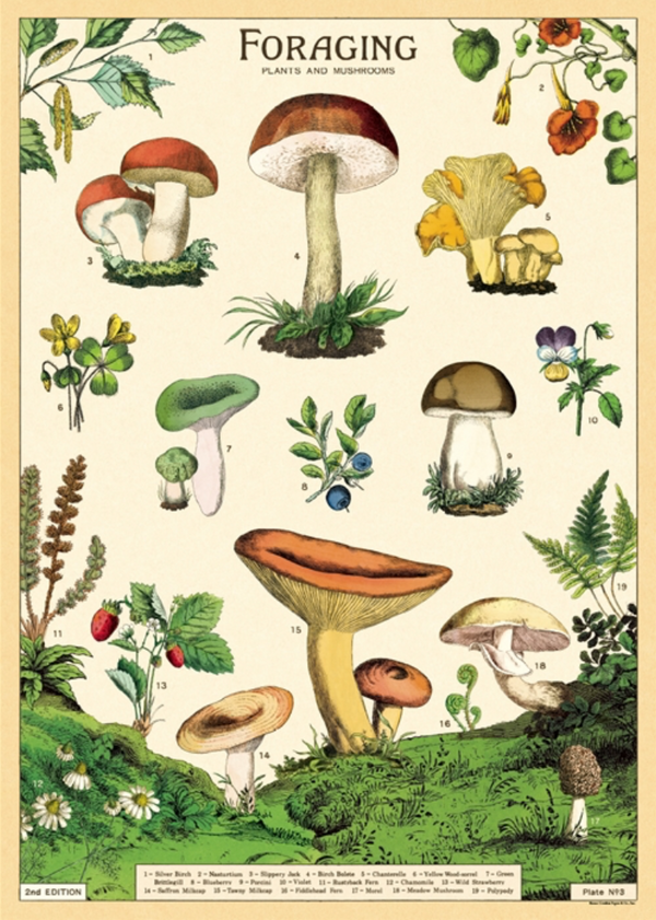 Foraging Print