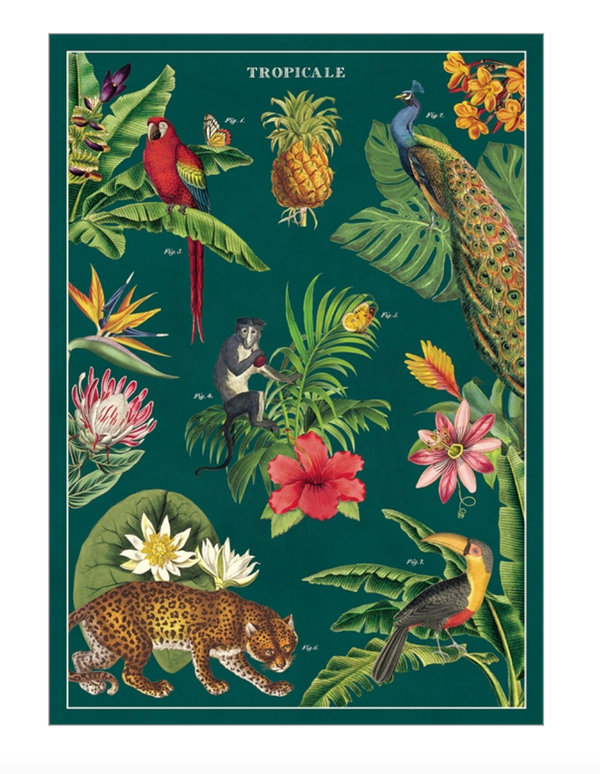 Tropicale Print